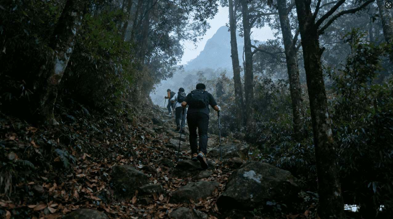 风驰加速器安卓手机高速加速实测效果分享